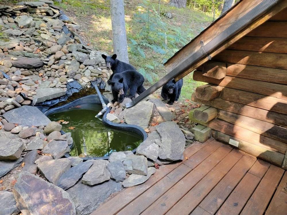 Very Private, Real Log Cabin With Hot Tub! Sevierville Exteriör bild