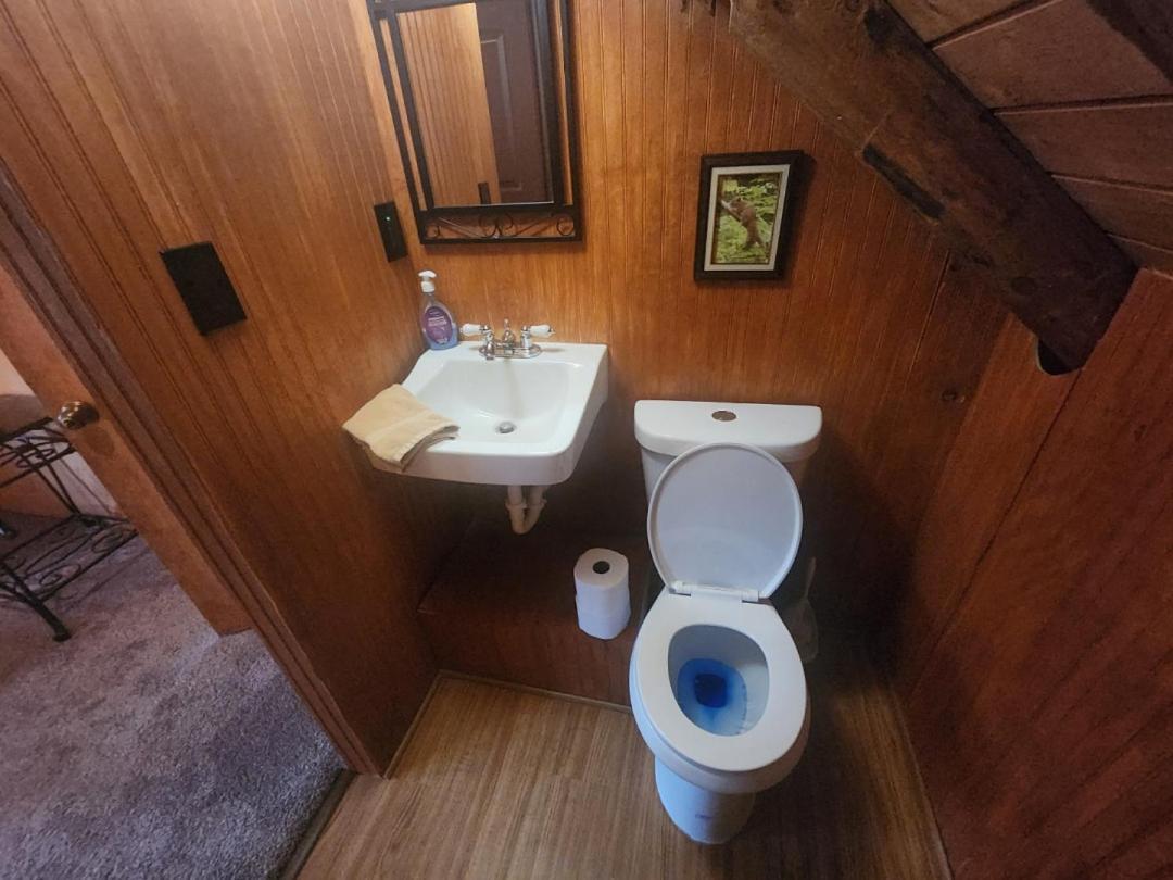 Very Private, Real Log Cabin With Hot Tub! Sevierville Exteriör bild